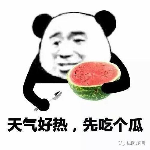 娱乐吃瓜酱存钱是真的吗,娱乐吃瓜酱存钱真相，是真是假一探究竟